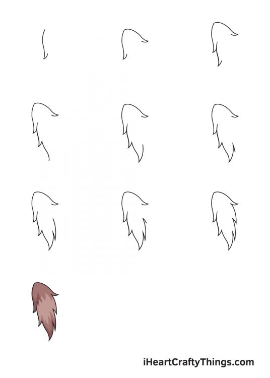 Fur Drawing - How To Draw A Fur Step By Step