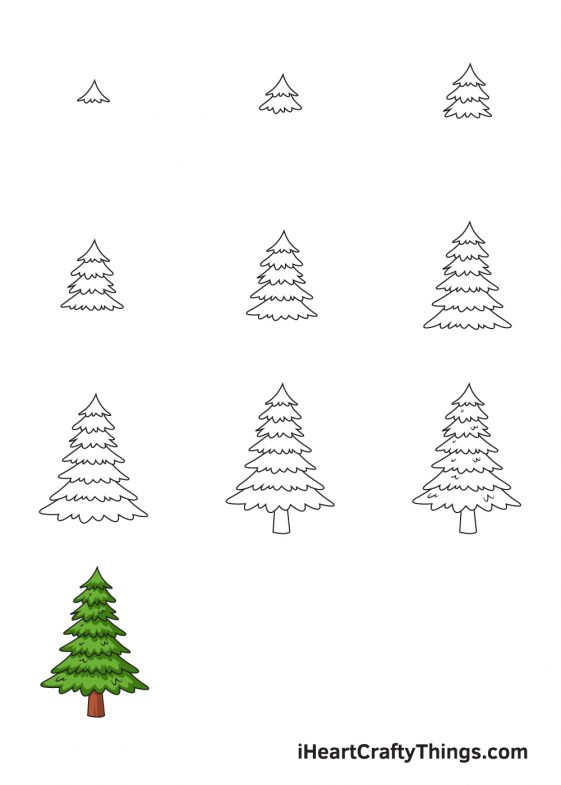 Pine Tree Drawing - How To Draw A Pine Tree Step By Step