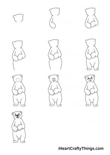 Polar Bear Drawing — How To Draw A Polar Bear Step By Step