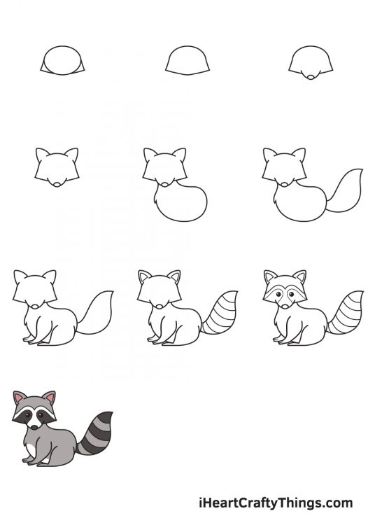 Top How To Draw Raccoon of the decade Learn more here 