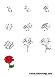 Rose Drawing - How To Draw A Rose Step By Step