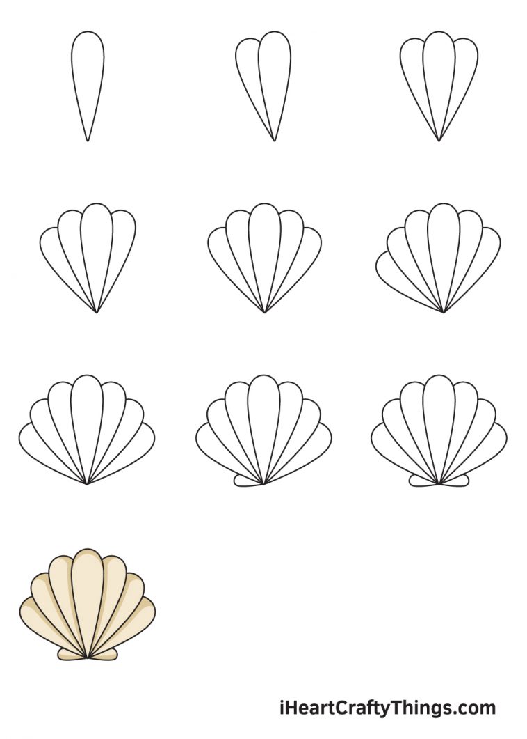 Seashell Drawing - How To Draw A Seashell Step By Step