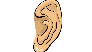 how to draw ear image