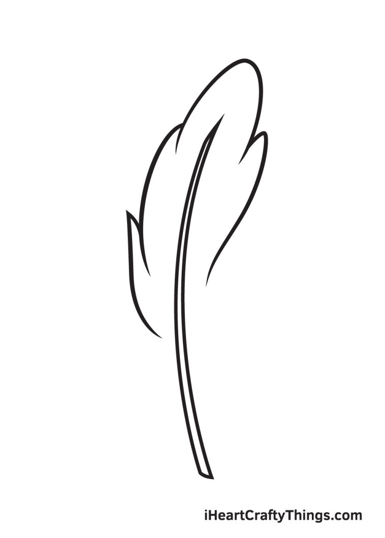 Feather Drawing - How To Draw A Feather Step By Step