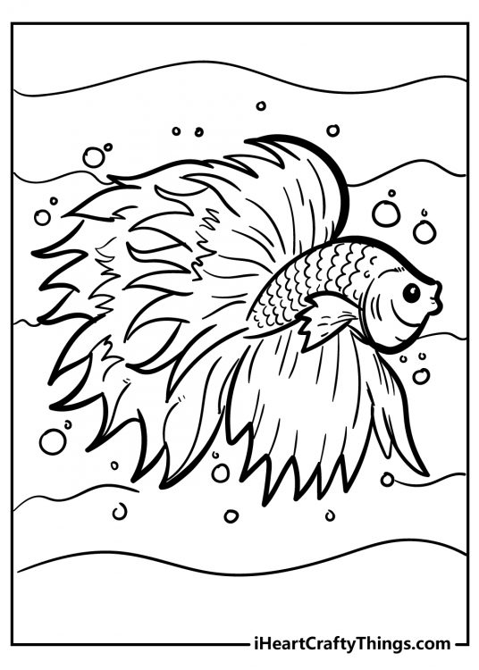 Free fish coloring printable featuring pretty betta fish surrounded by water bubbles