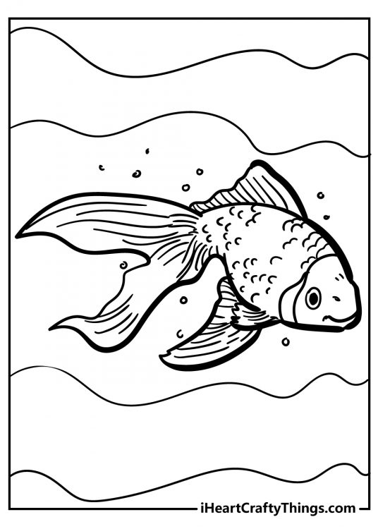 Fish coloring printable presenting goldfish with beautiful characteristic tail swimming underwater