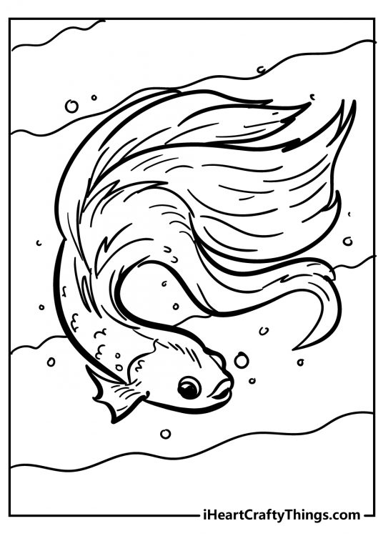 Fish Coloring Pages (Updated 2021)