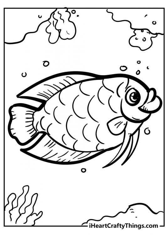 Fish with big round eyes and big lips surrounded by coral reef free printable sheet to color