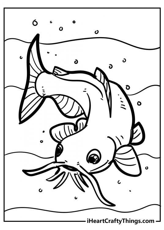 Free to download and print fish coloring page featuring big catfish with long whiskers in a water