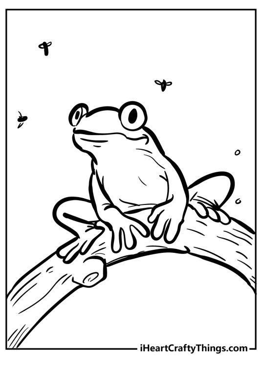 Black-and-white drawing of a frog perched on a tree branch surrounded by buzzing flies