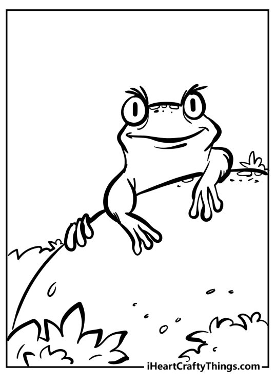 Coloring page of an outdoor scene featuring little frog that is peeking over a rock surrounded by plants