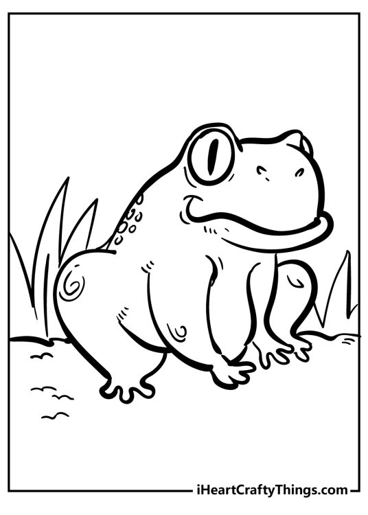 Free coloring poster featuring frog sitting on the pathway turned to the right side