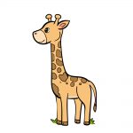 how to draw giraffe image