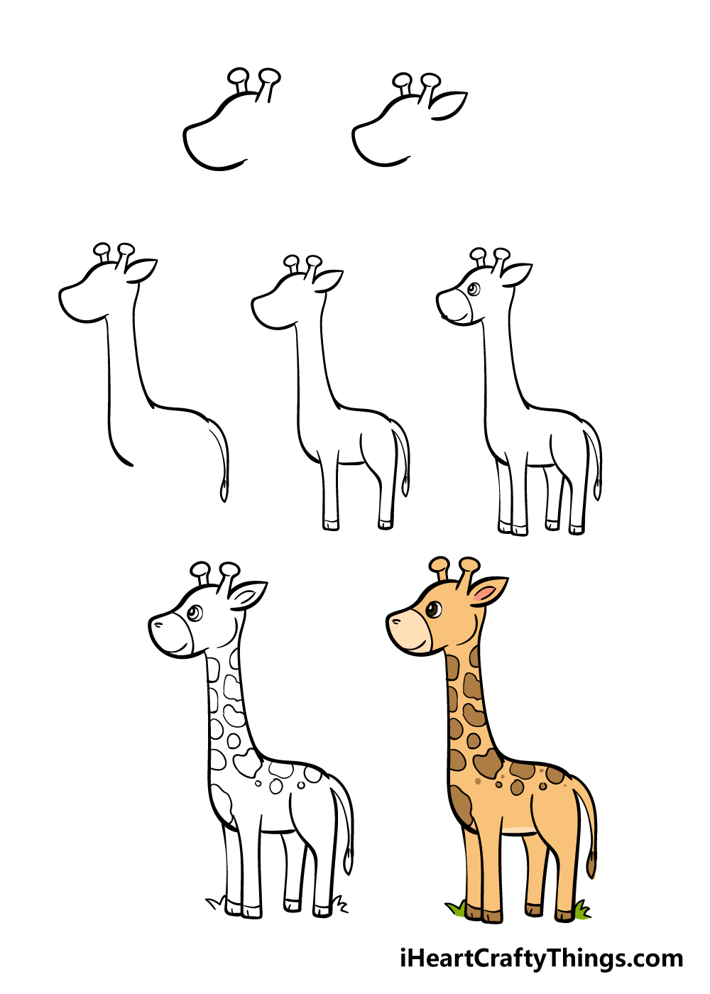 Giraffe Drawing - How To Draw A Giraffe Step By Step