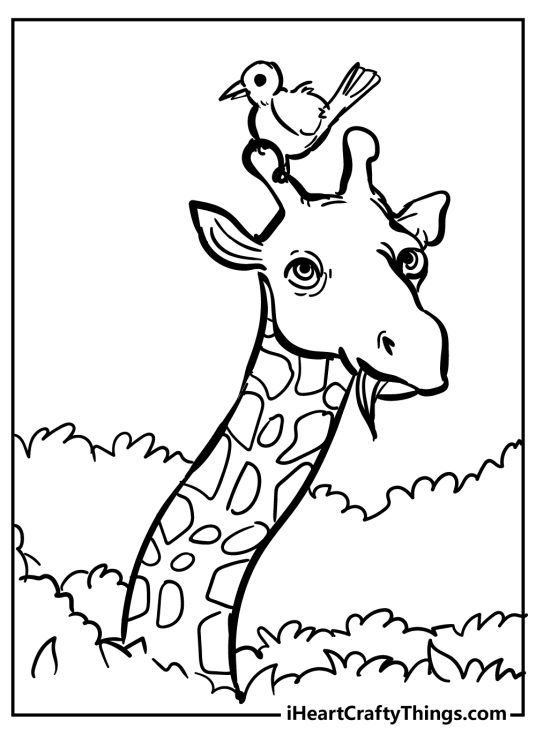 Coloring picture featuring giraffe chomping on some leaves with a small bird sitting on its head