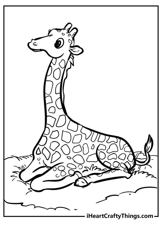 Detailed coloring printable depicting relaxing scene with a giraffe lying down on the ground
