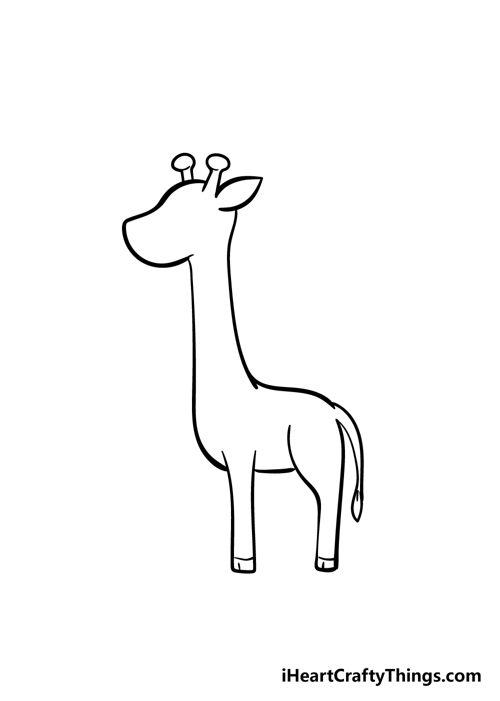 How To Draw Giraffe  Giraffe Drawing Simple Transparent PNG  680x678   Free Download on NicePNG