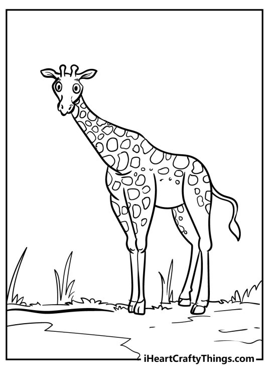 Free coloring page for children depicting giraffe looking surprised by something