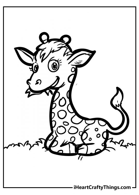 Printable image featuring cute little giraffe relaxing and chomping on some grass