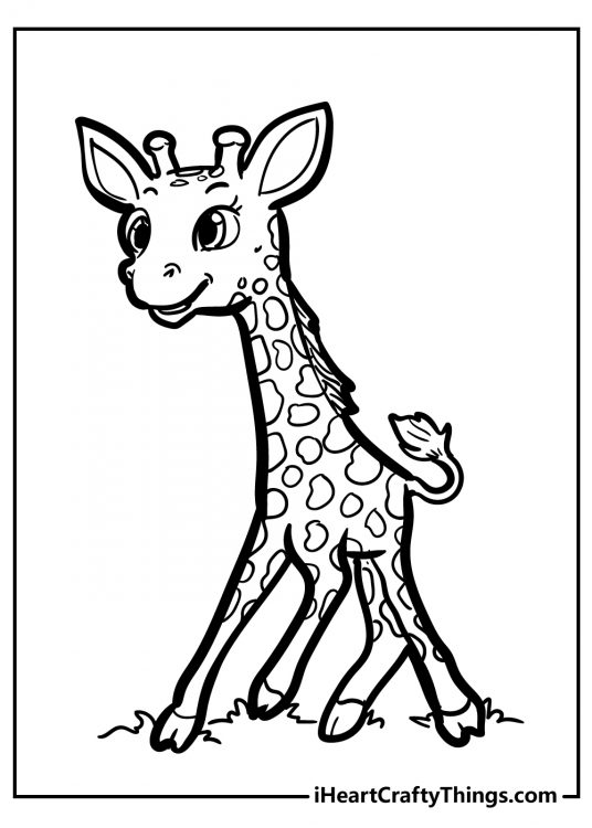 Free printable coloring sheet for kids featuring young giraffe learning to walk with background left clear