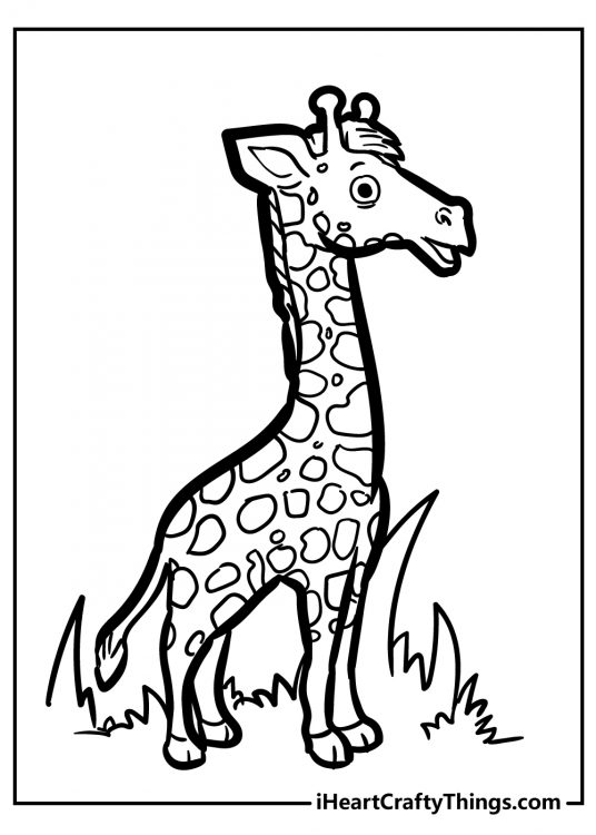 Free printable coloring picture presenting tall giraffe standing surrounded by grass