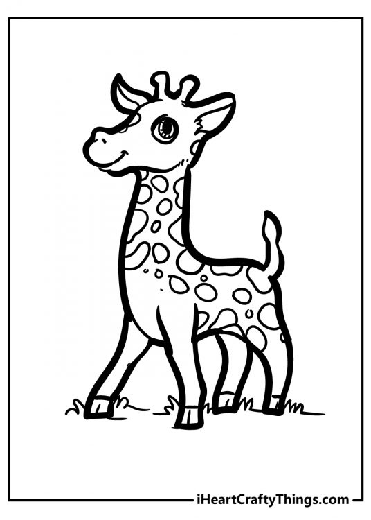 Coloring picture of a confident and happy looking giraffe standing tall with clear background behind it