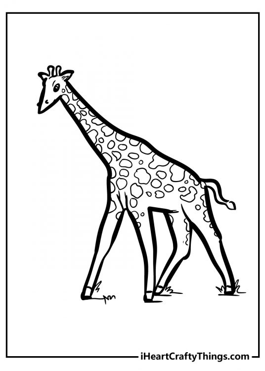 Free printable coloring sheet featuring minimalistic style drawing of a giraffe with empty background