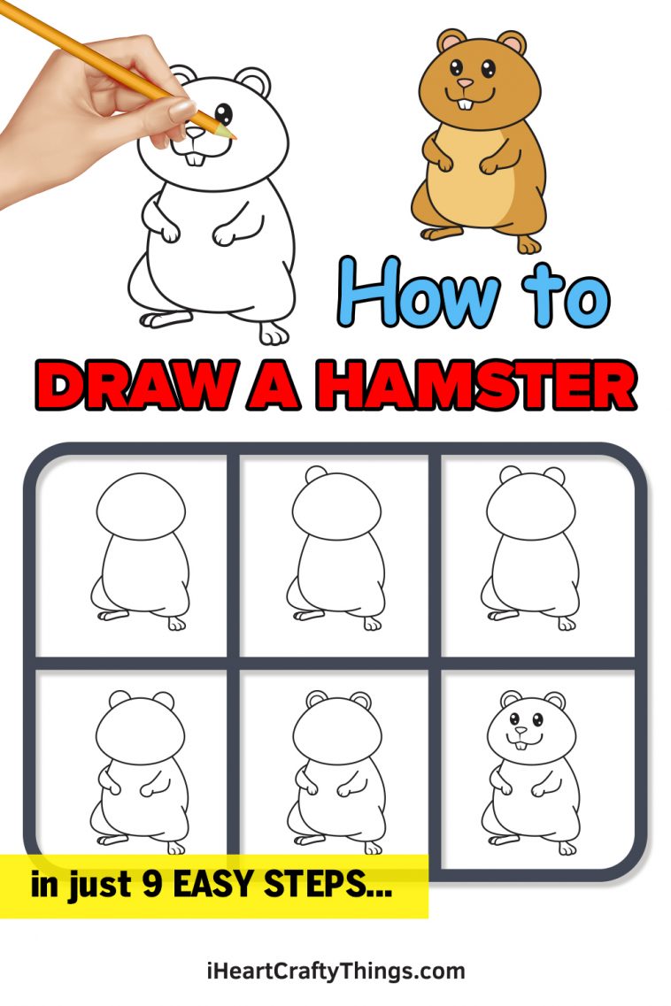 Hamster Drawing - How To Draw A Hamster Step By Step