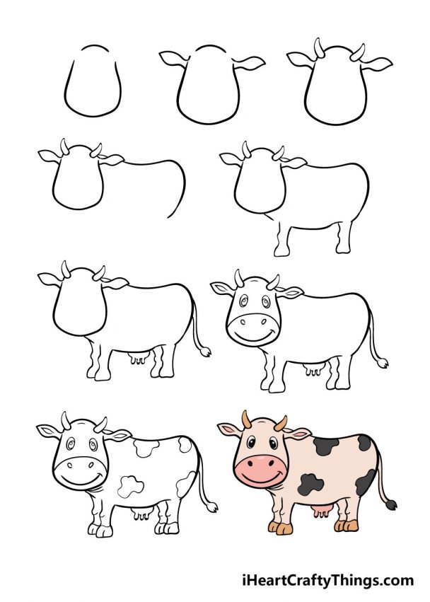Cow Drawing How To Draw A Cow Step By Step