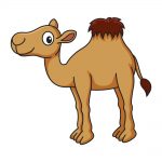 how to draw camel image