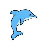 how to draw dolphin image