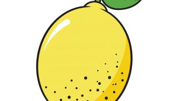 how to draw lemon image