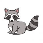 how to draw raccoon image