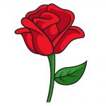 how to draw rose image