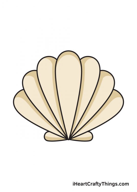How to Draw a Seashell - Step by Step Guide