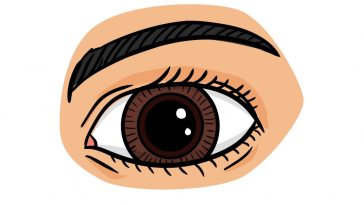 eye drawing step 8