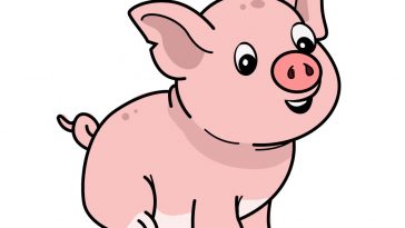 how to draw pig image