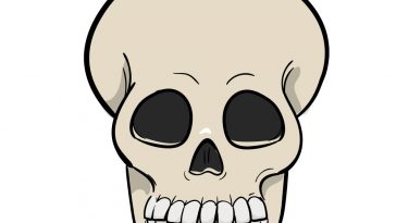 how to draw skull image