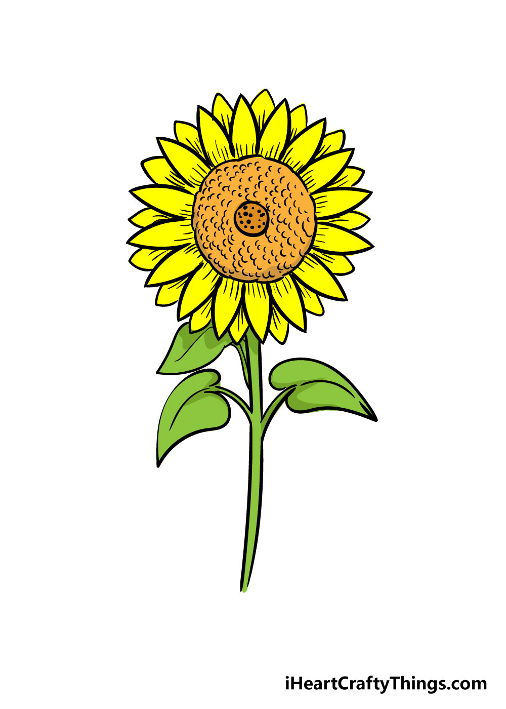 Drawing of sunflower – Line art illustrations