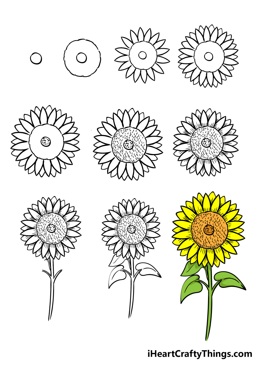 How to draw Sunflower in 10 easy steps