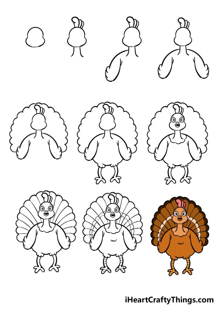 Turkey Drawing - How To Draw A Turkey Step By Step!