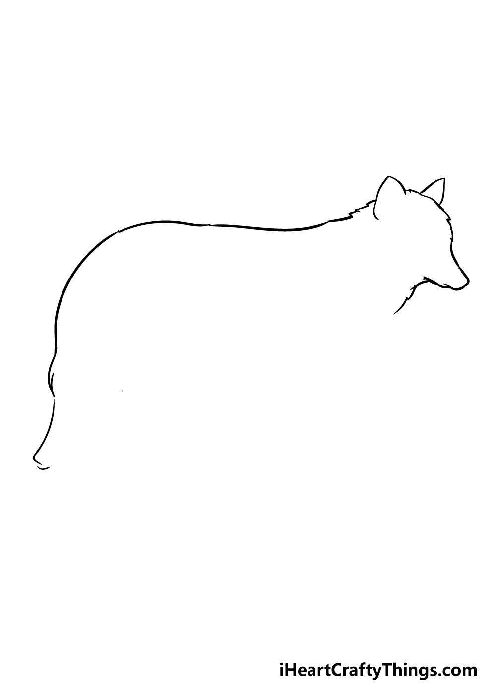 How to draw Wolf 2 - Hướng dẫn cách vẽ con chó sói đơn giản với 6 bước cơ bản