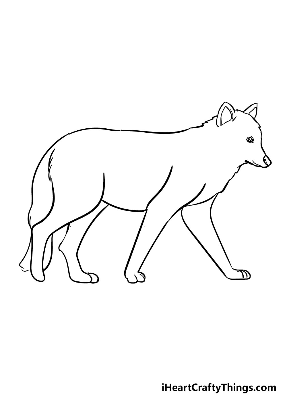 Wolf Drawing  How To Draw A Wolf Step By Step