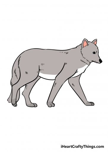 how to draw wolf image