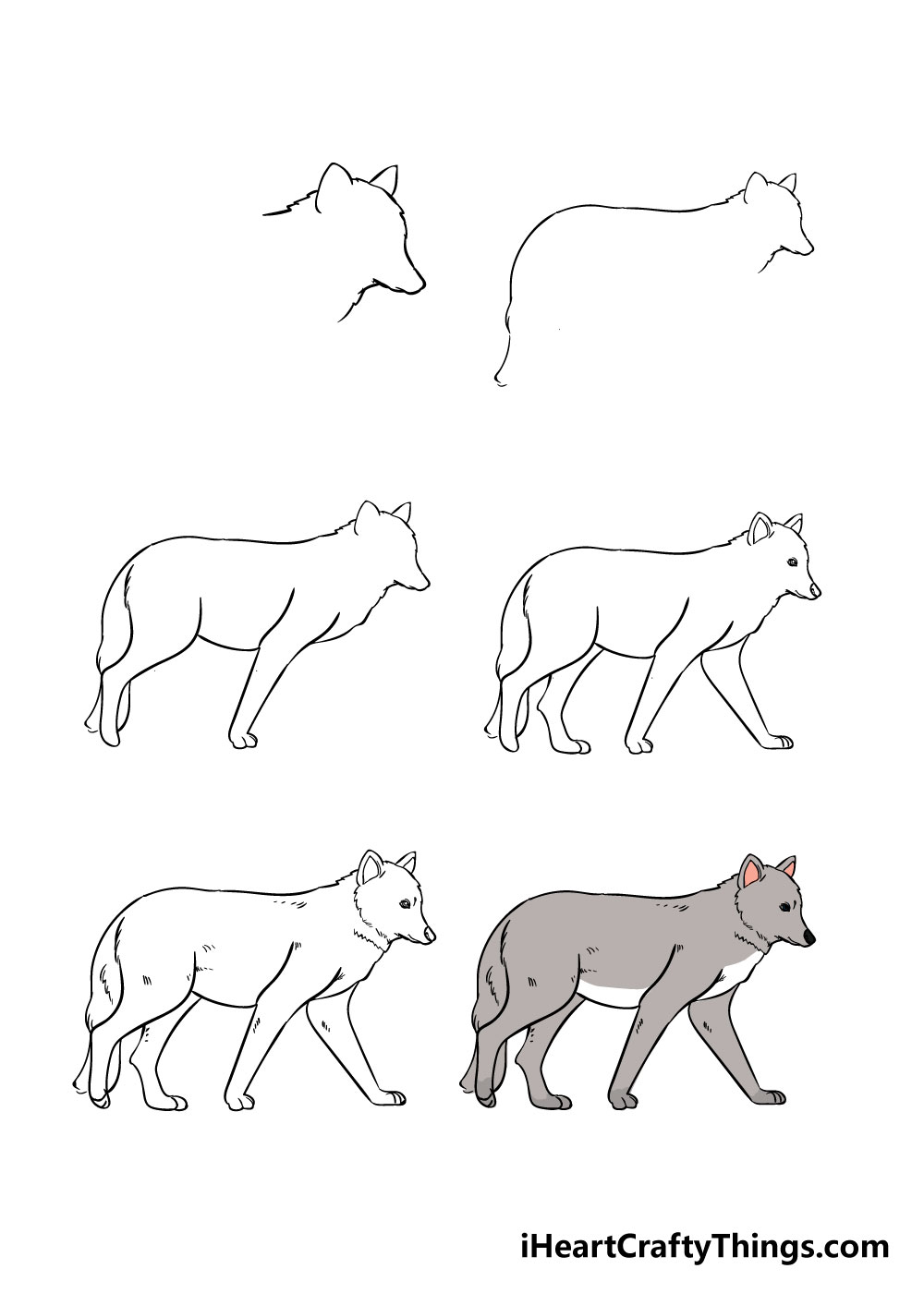 how o draw wolf in 6 steps
