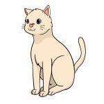 how to draw cat image