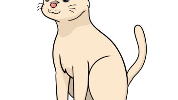 how to draw cat image