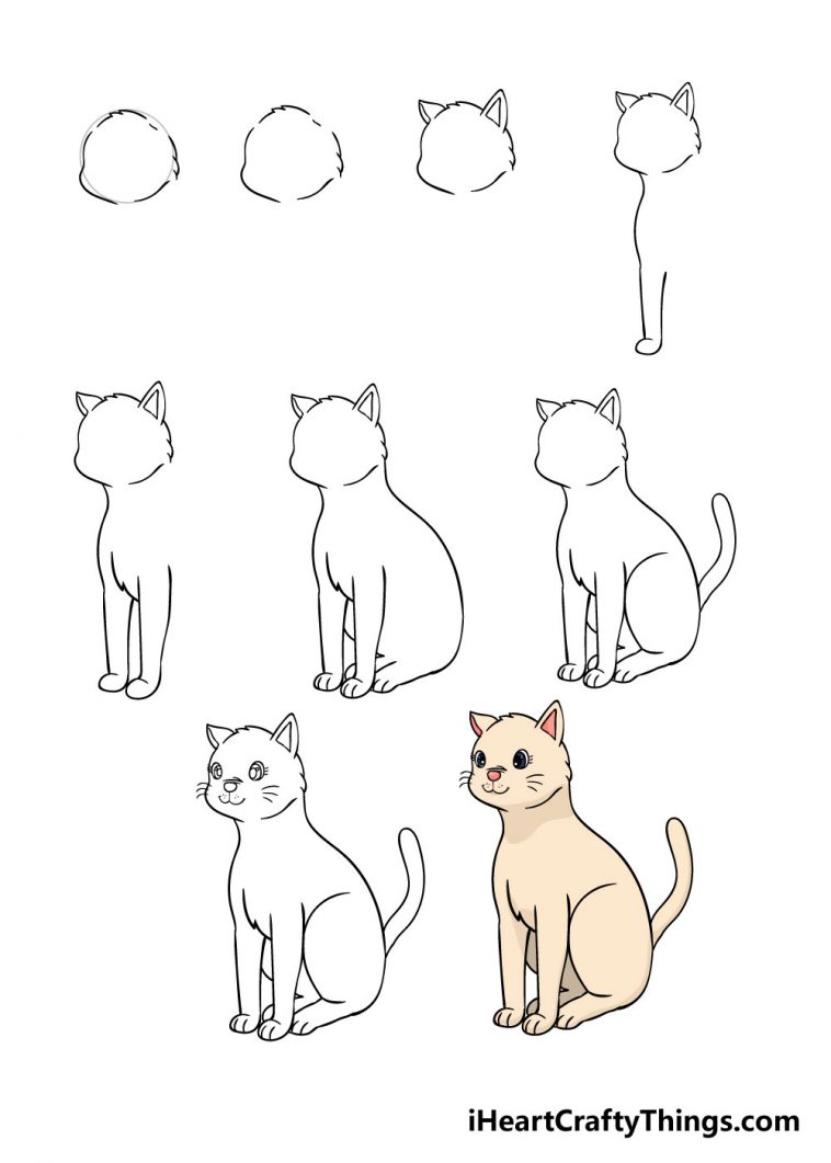 Cat Drawing How To Draw A Cat Step By Step!