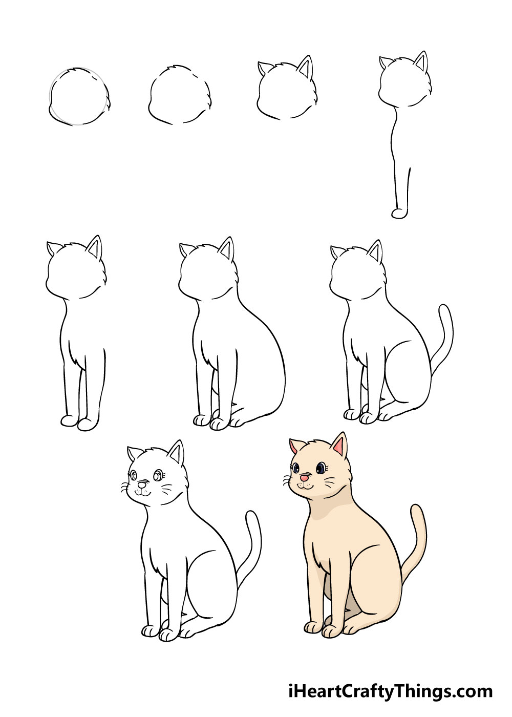 How to draw cat in 9 steps