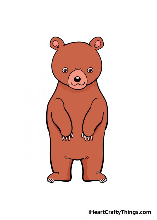 How to Draw A Bear - A Step by Step Guide